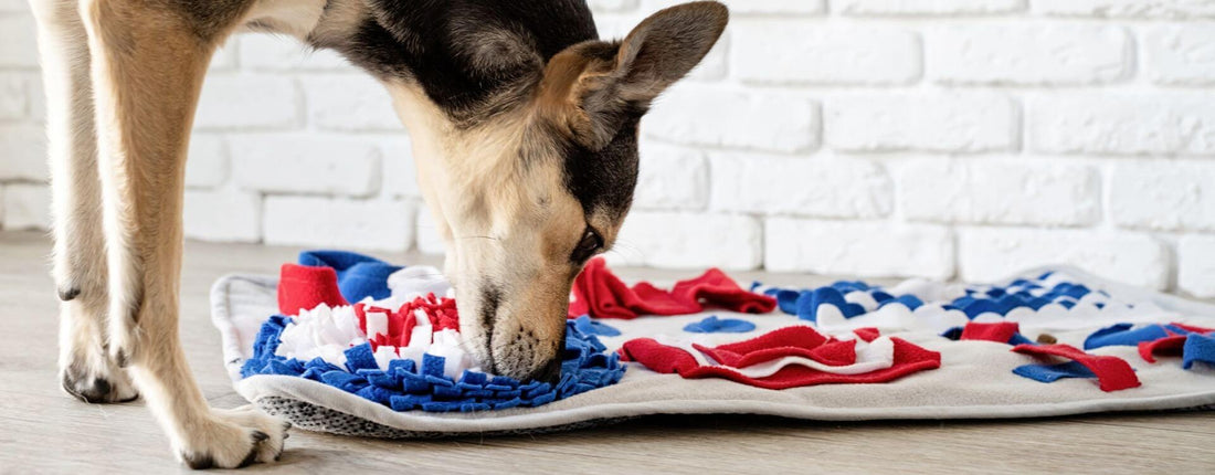 Les différents types de tapis de fouille pour chiens : lequel choisir ?