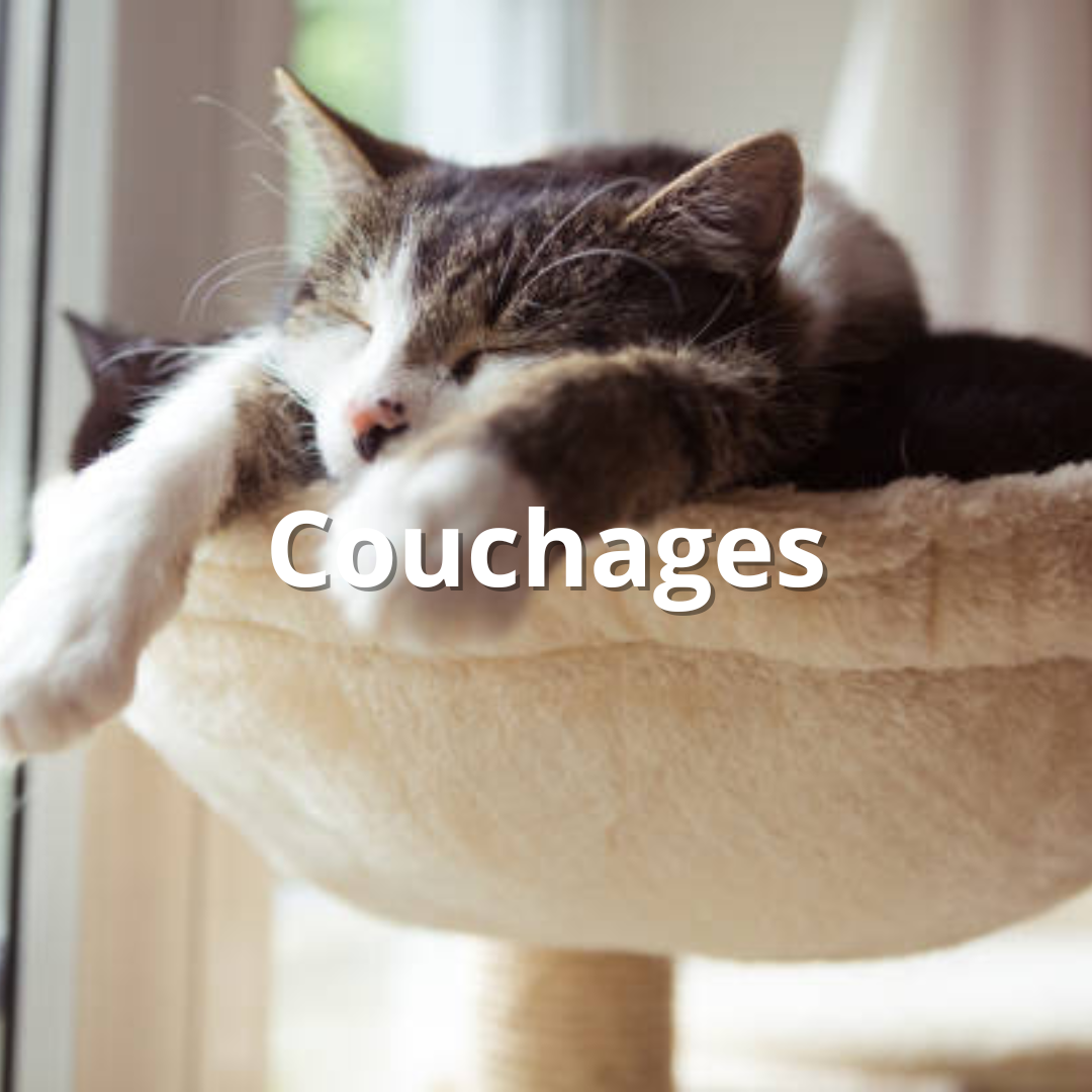 Couchages pour chat