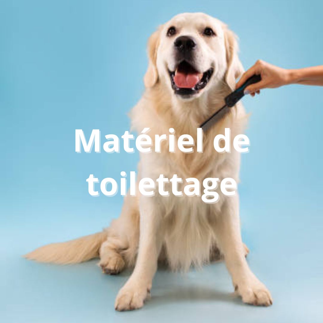 Matériel de toilettage pour chien
