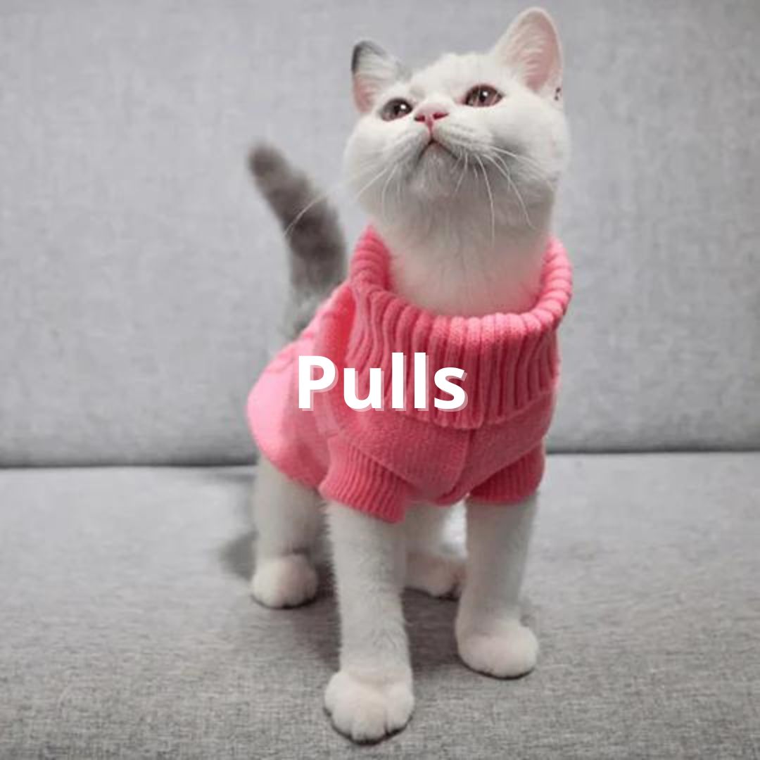 Pull pour chat