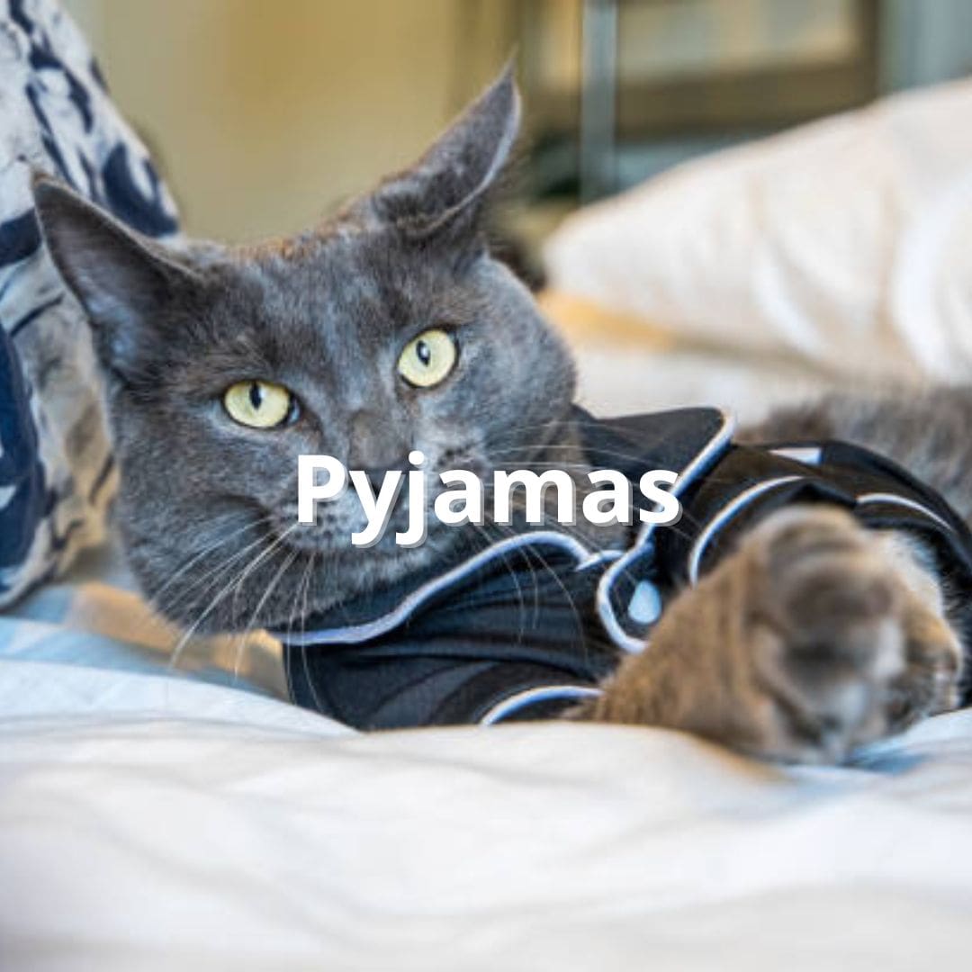 Pyjama pour chat