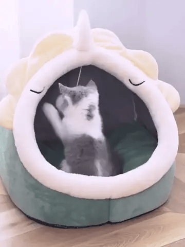 Chat qui s'amuse dans un lit en forme d'animaux