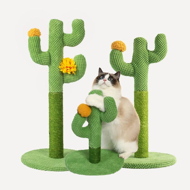 Design original de notre griffoir cactus pour chat