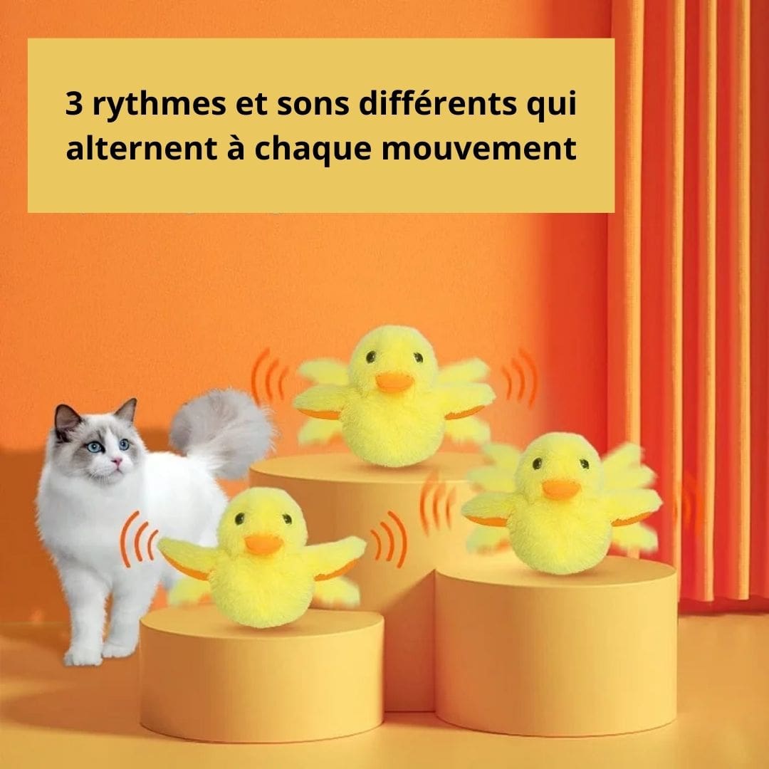 3 rythmes de sons de notre peluche interactive canard pour chat