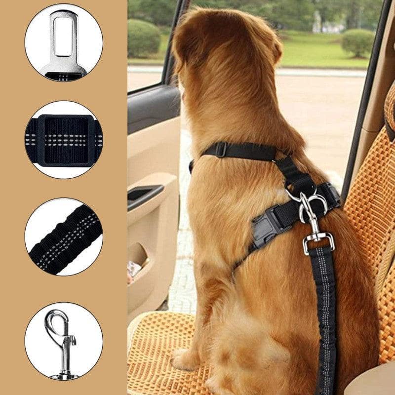 Laisse ceinture de sécurité voiture pour chien 