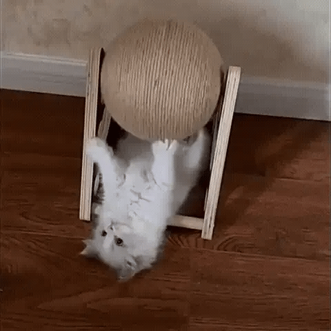 Griffoir boule sisal pour chat en utilisation