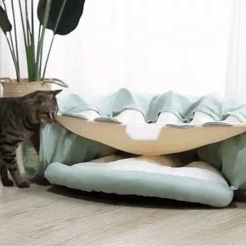 Chat qui va dans son lit pliable avec tunnel