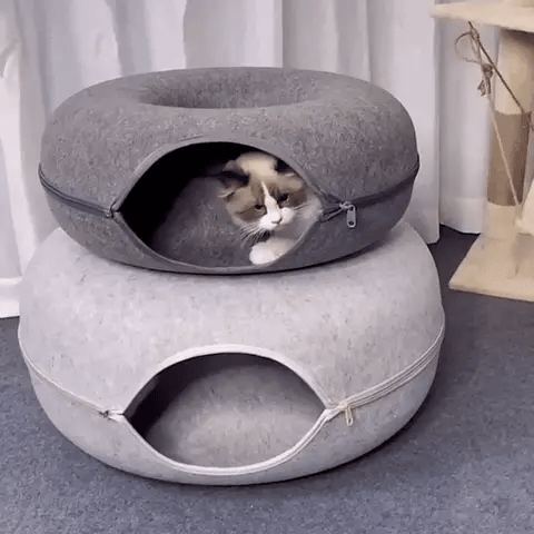 Design confortable de notre lit tunnel en feutre pour chat