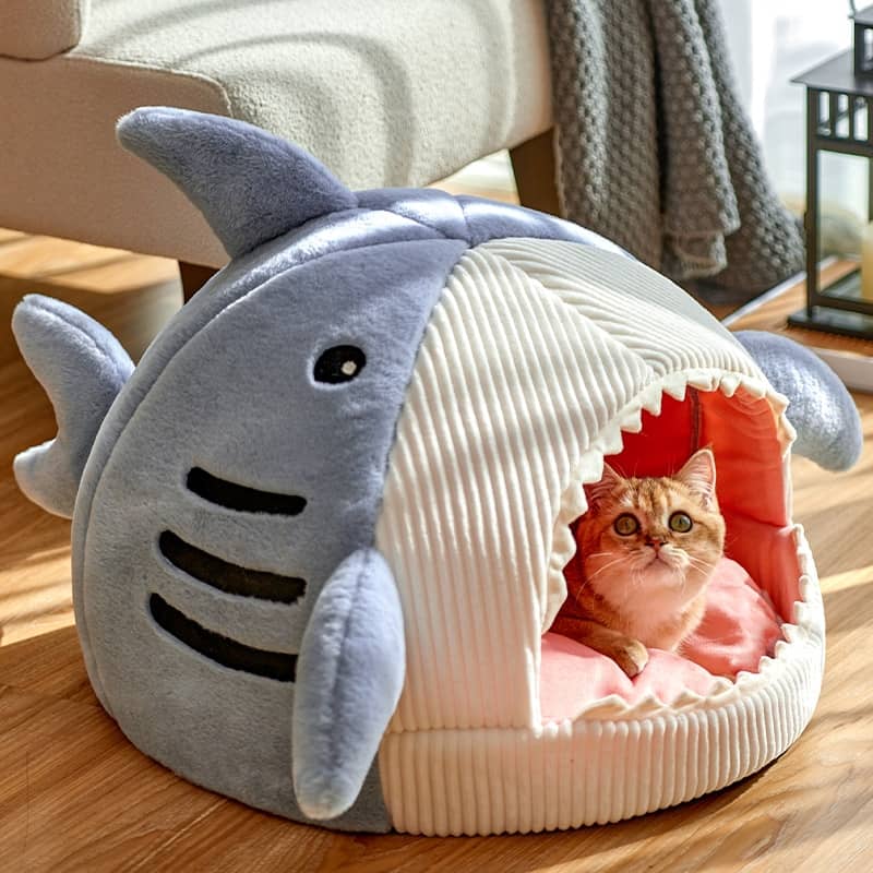 Chat dans un lit en forme de requin pour chat