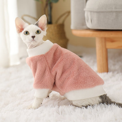 Chat qui porte un pull polaire rose
