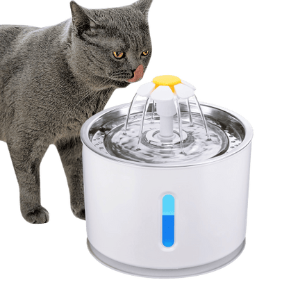 Fontaine à eau ronde avec LED pour chat
