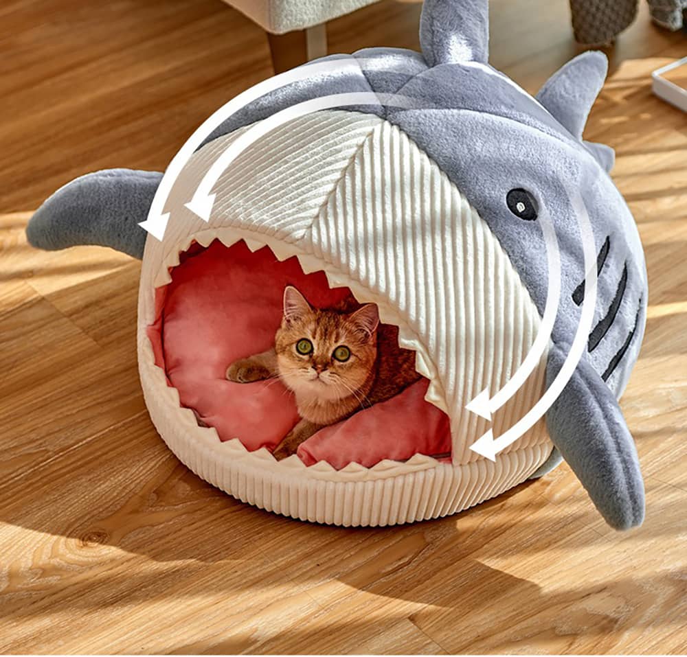 Chat dans un lit en forme de requin pour chat
