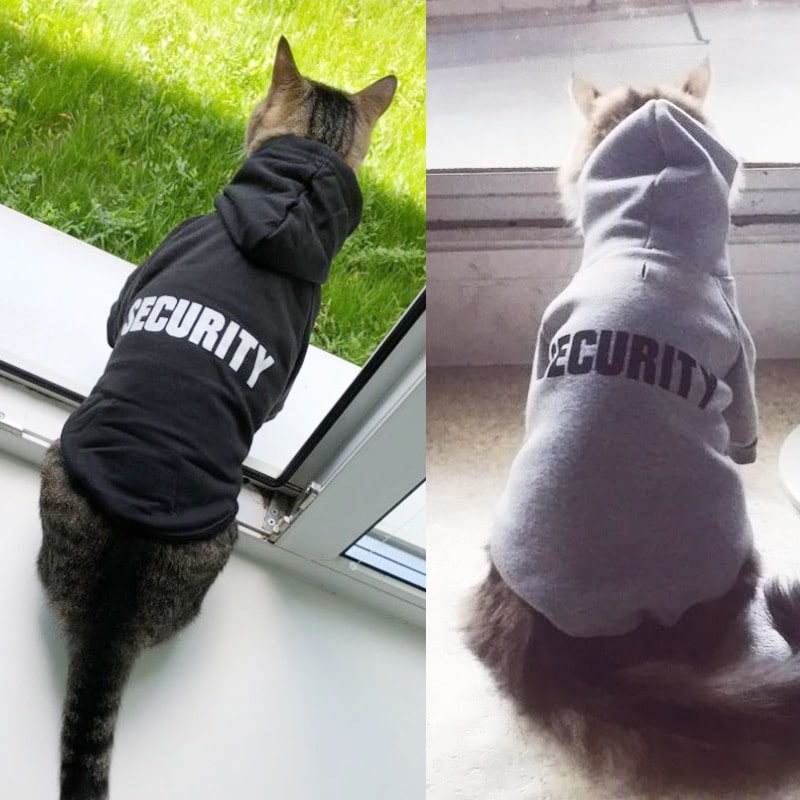 Chat avec notre pull "Security"