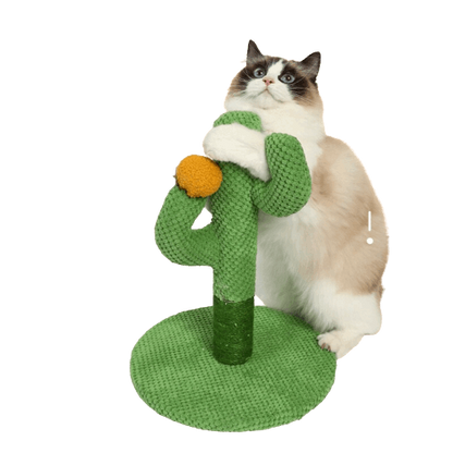 Chat avec un griffoir pour chat en forme de cactus