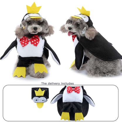 déguisement pingouin pour chien et chat