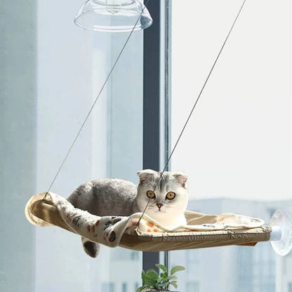 Chat sur un hamac pour chat