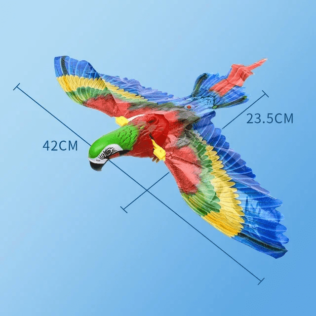Dimensions de notre perroquet volant pour chat