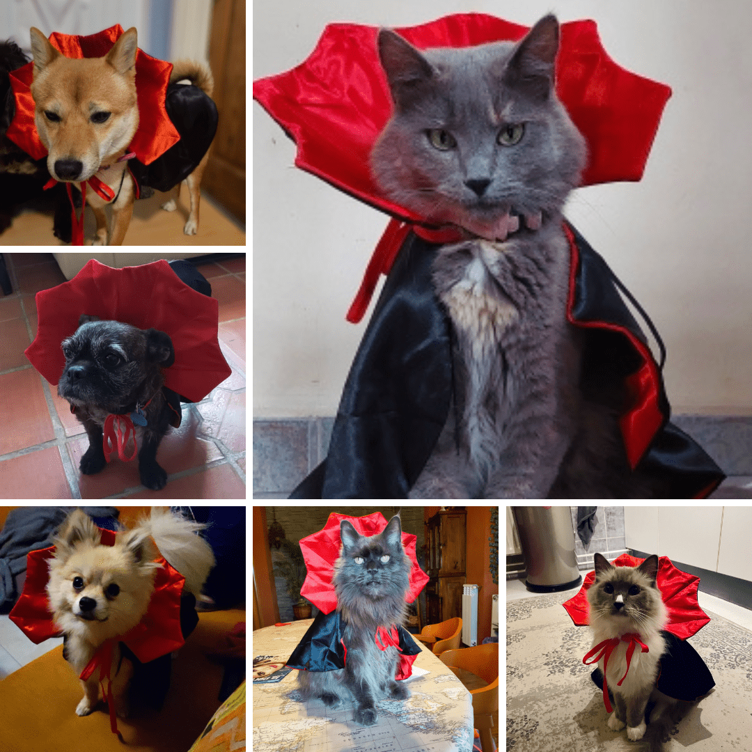 Photos clients avec notre déguisement d'halloween Dracula