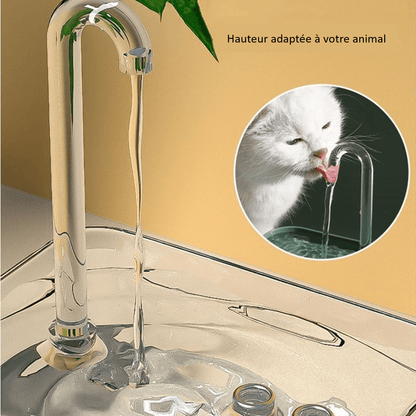 Fontaine à eau transparente pour chat