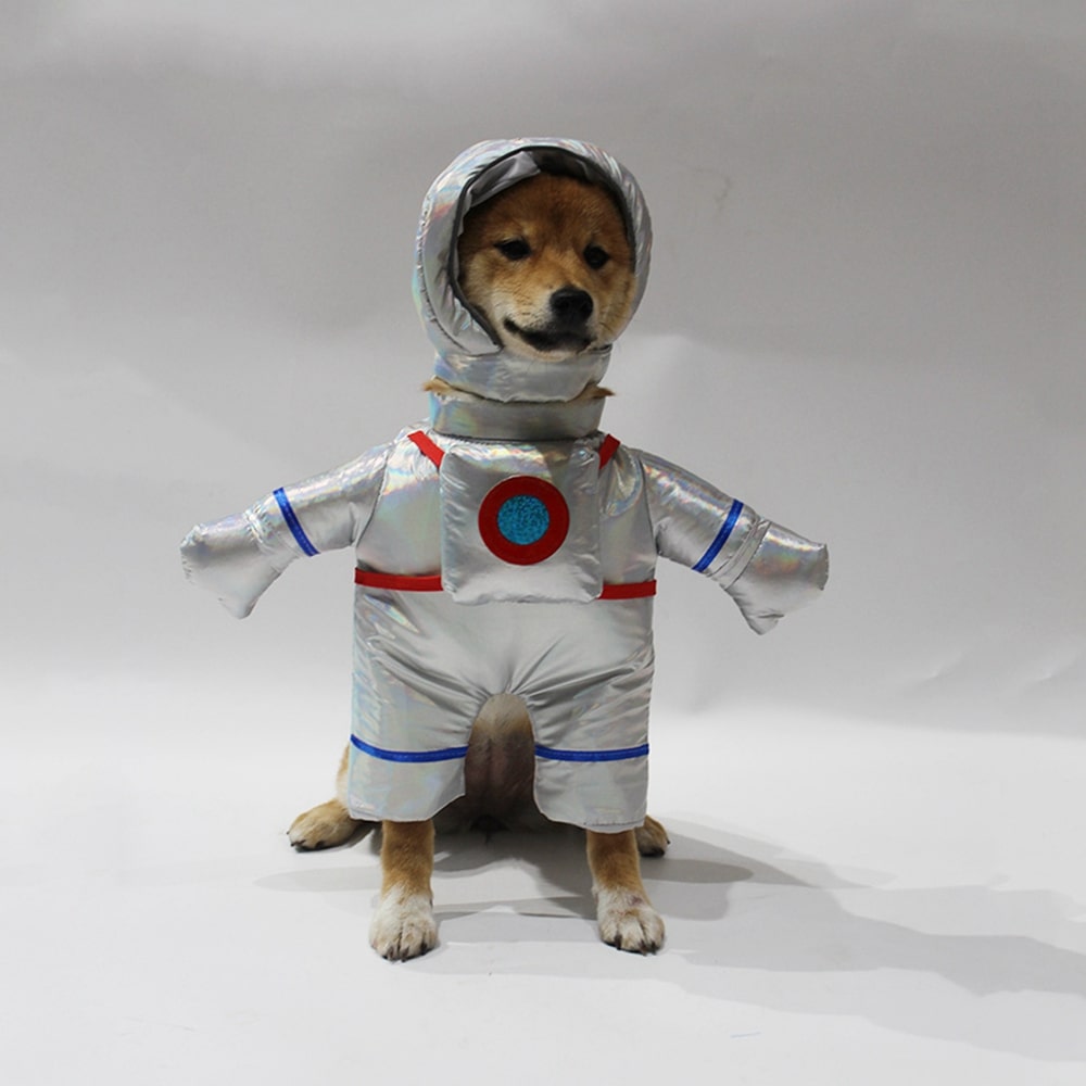 Déguisement d'astronaute pour chat et chien
