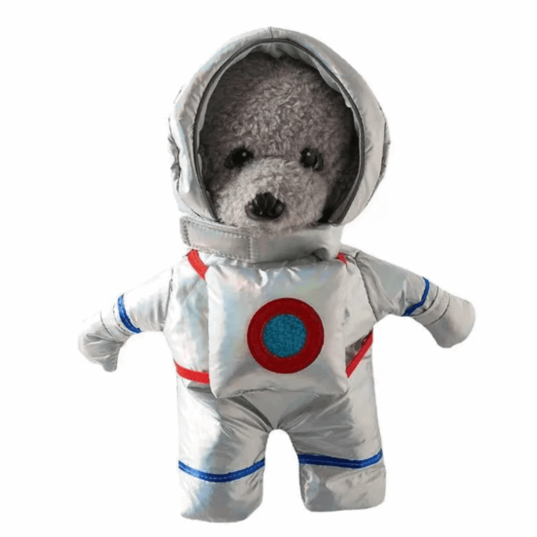 Déguisement astronaute pour chat et chien