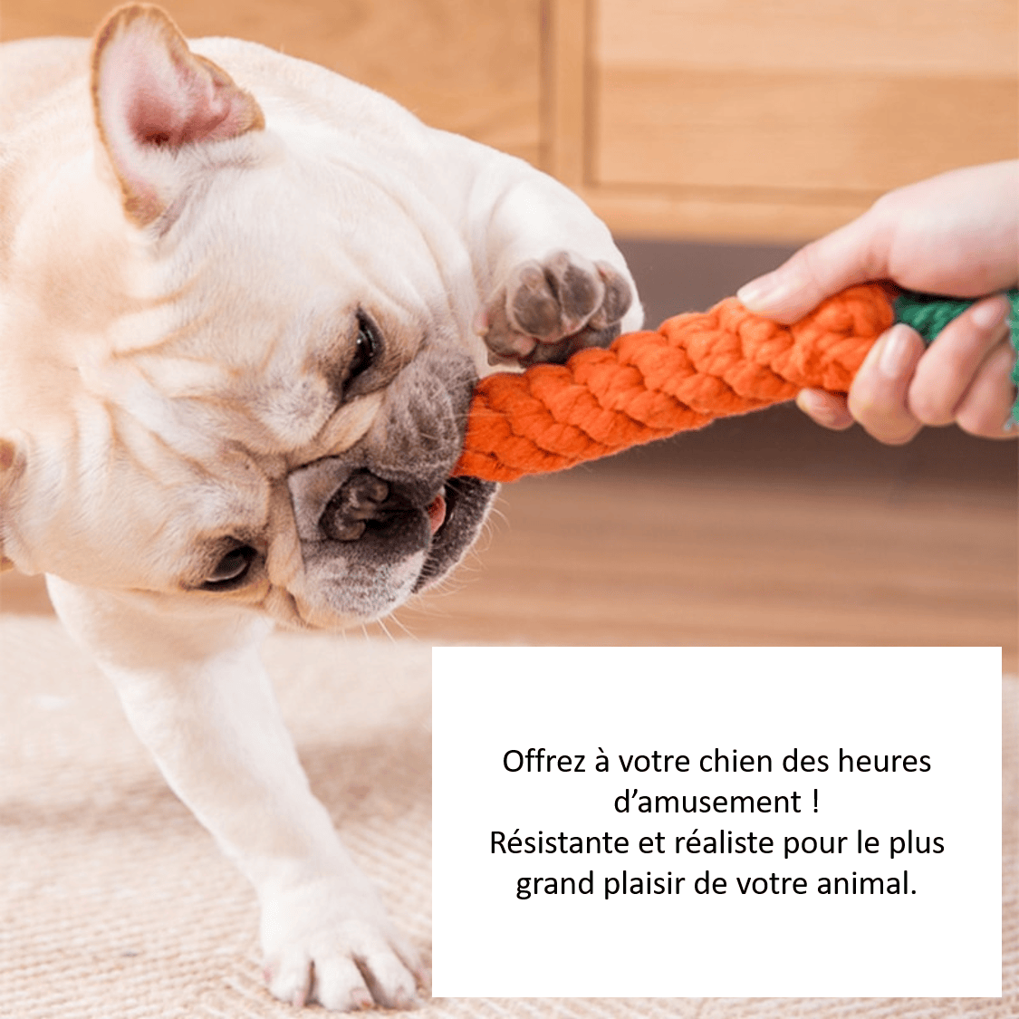 Avantages Jouet corde en forme de carotte pour chien