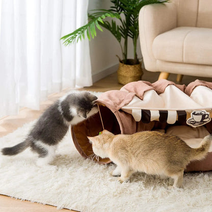 2 chats qui jouent avec le lit pliable avec tunnel