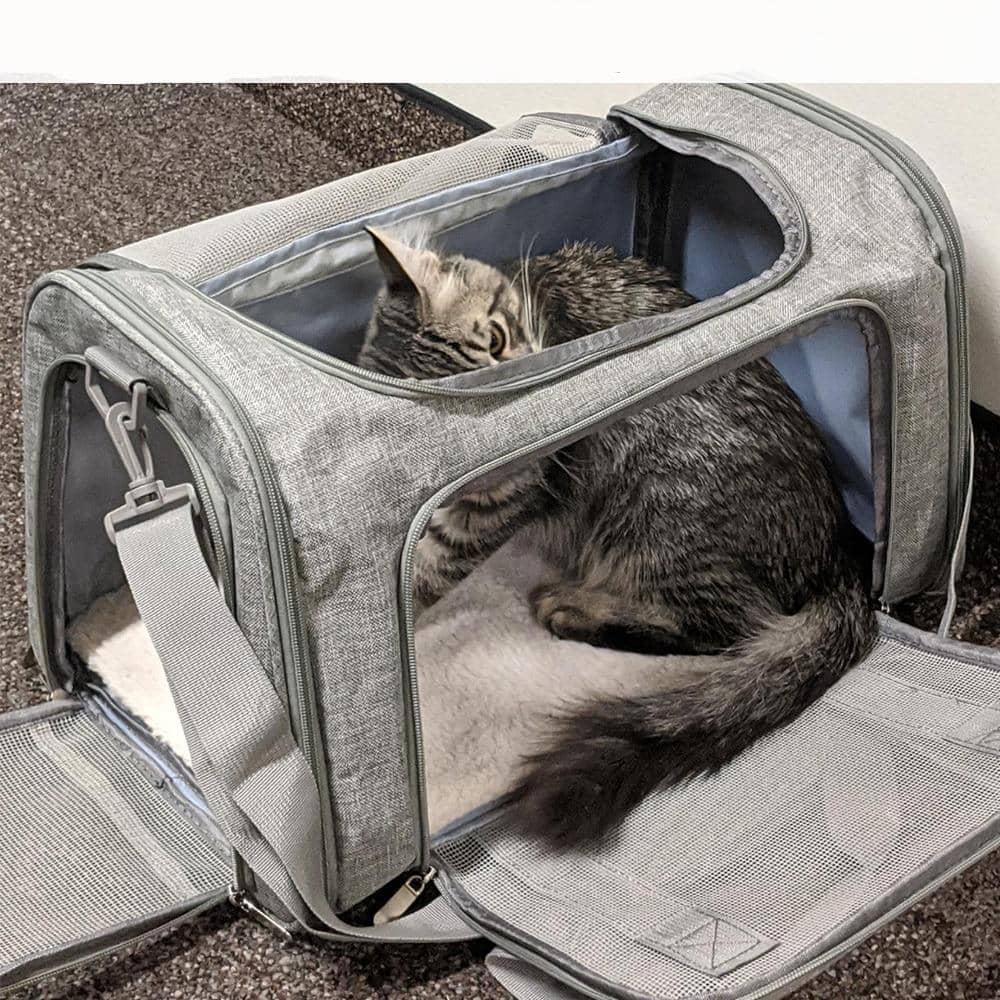 Chat dans un sac de transport pour animaux