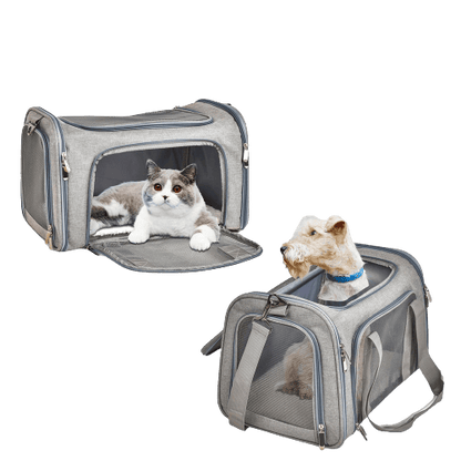 Chat et chien dans un sac de transport