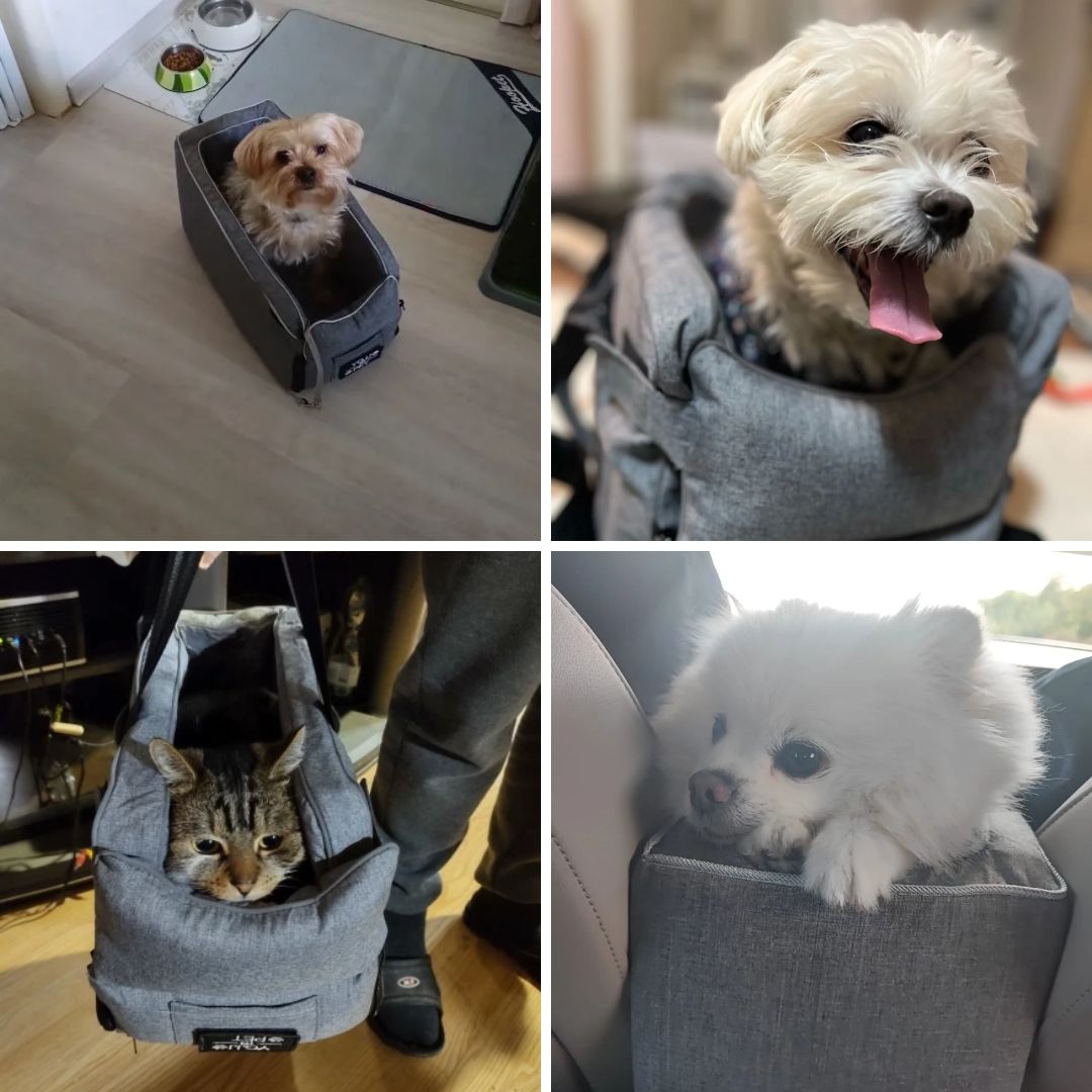 Photos clients couchage confortable de voyage pour petit chien et chat