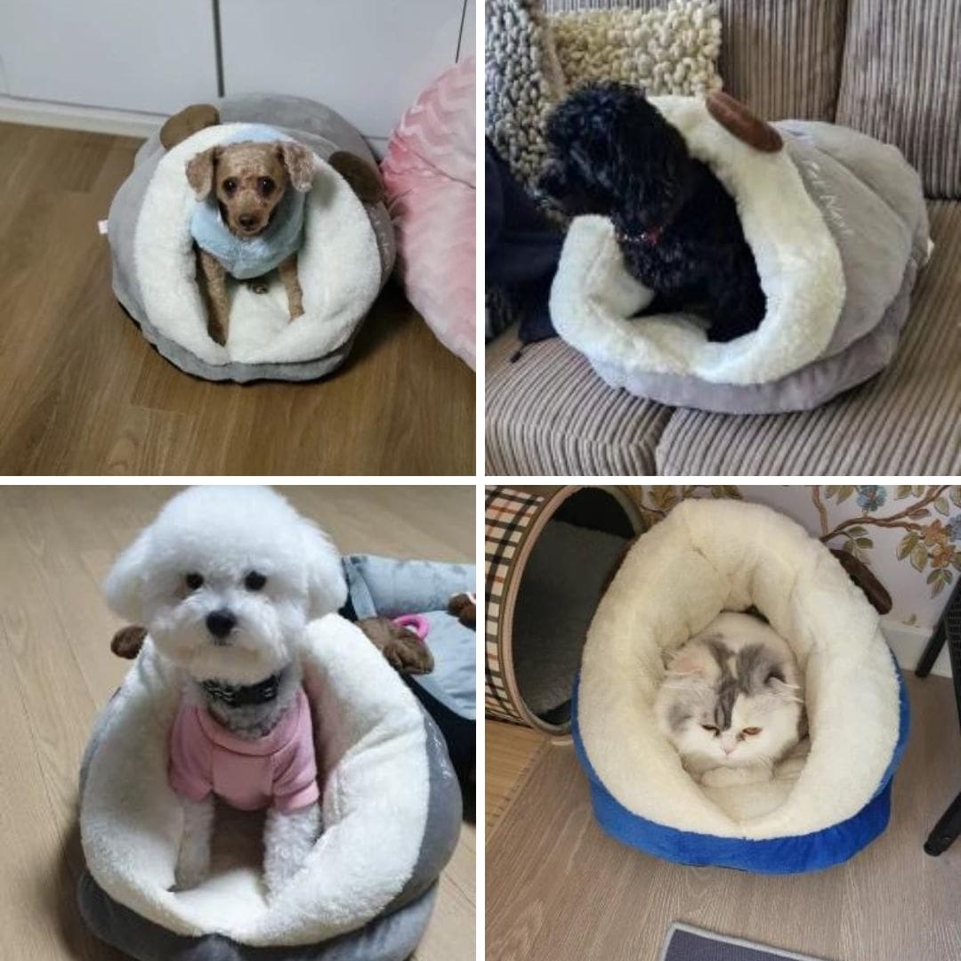 Photos clients de notre couchage en forme de pantoufle pour chien et chat