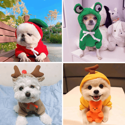 Photos clients de notre pull à capuche pour chien et chat