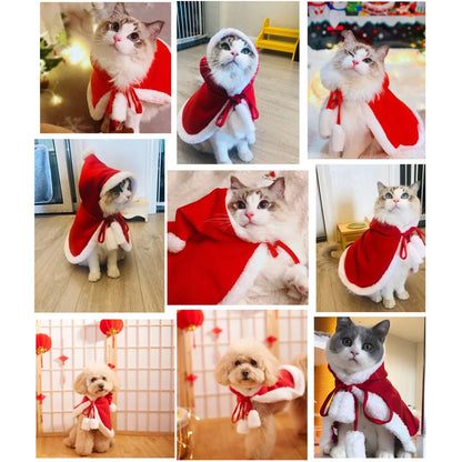 Photos clients de notre cape Père Noël pour chat