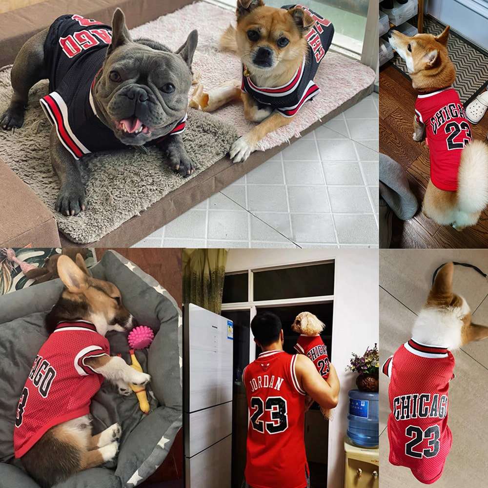 Avis clients de notre maillot de basketball pour chien