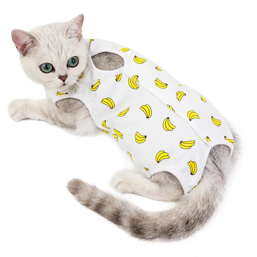 Vêtement anti-léchage "bananes" porté par un chat