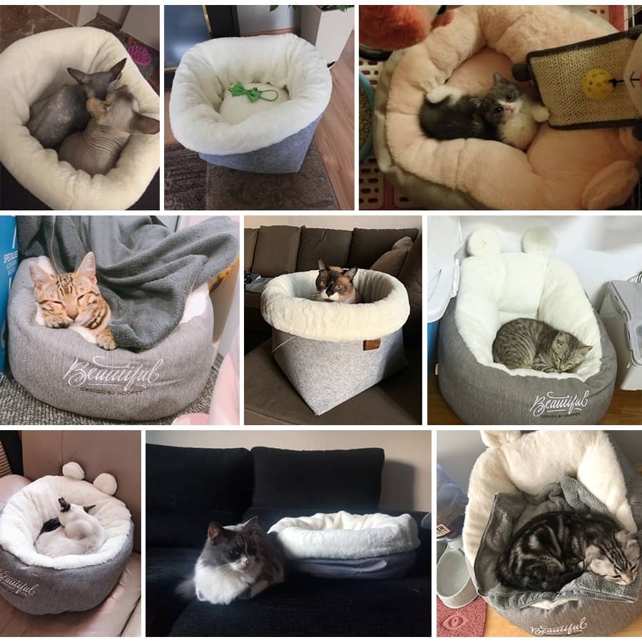 Photos clients de chats dans un lit douillet en coton pour chat