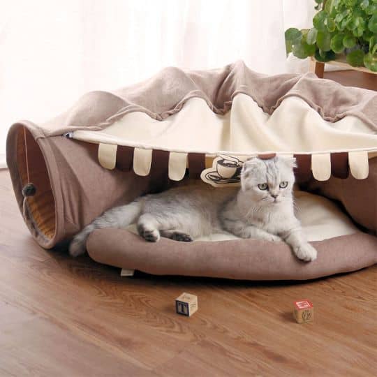 Chat dans un lit pliable avec tunnel pour chat