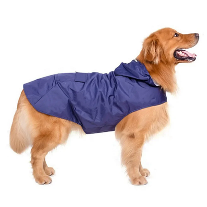 Veste de pluie bleue pour chien