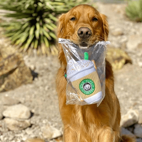 Peluche tasse à café pour chien