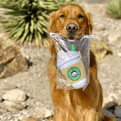 Peluche tasse à café pour chien
