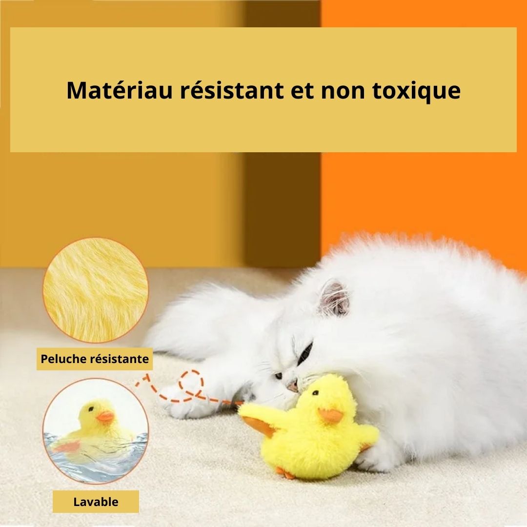 Peluche interactive canard pour chat conçu avec des matériaux résistants