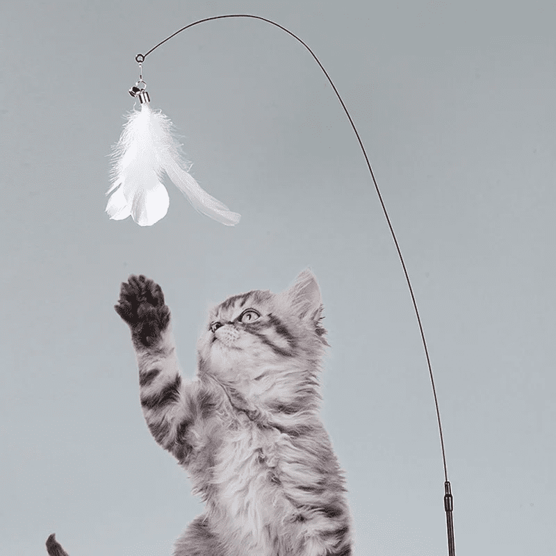 Canne à pêche avec ventouse pour chat