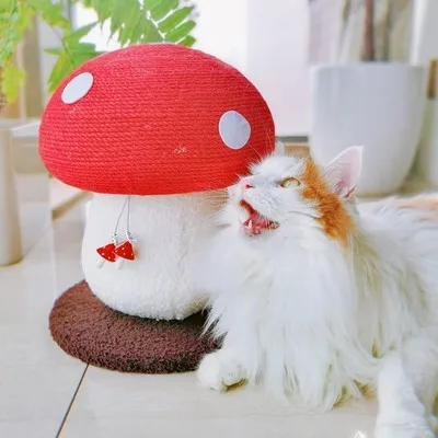 Griffoir champignon pour chat