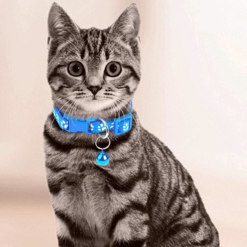 Clochette sur le collier pour chat pour l'entendre