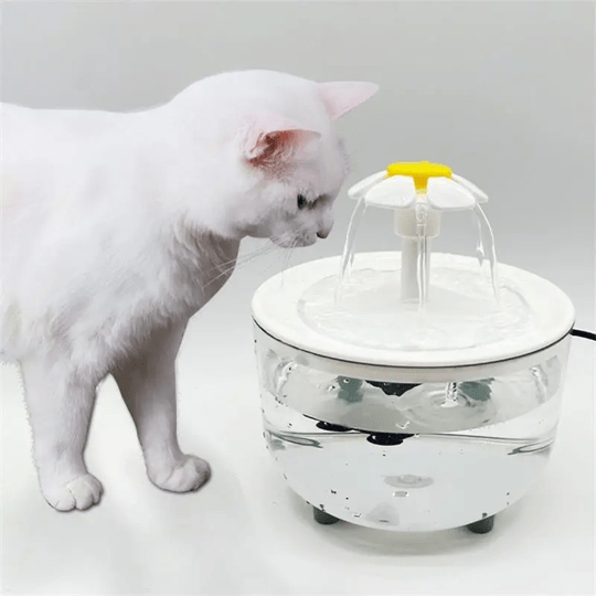 Fontaine à eau pour chat avec 3 modes d'écoulement