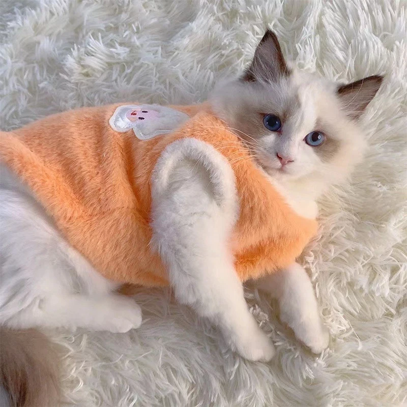 Pull doux et chaud orange pour chat