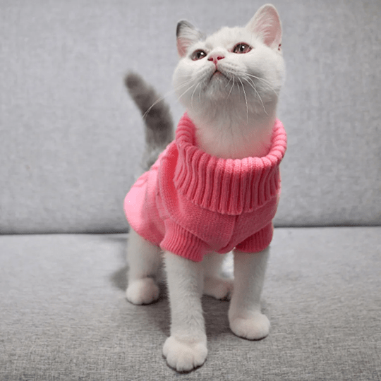 Pull tricoté pour chien et chat - Une idée de cadeau parfaite et originale