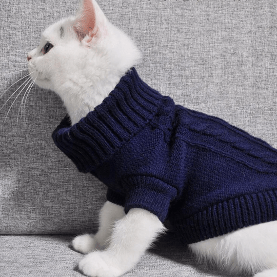 Pull tricoté pour chien et chat qui apporte chaleur et confort en toute saison