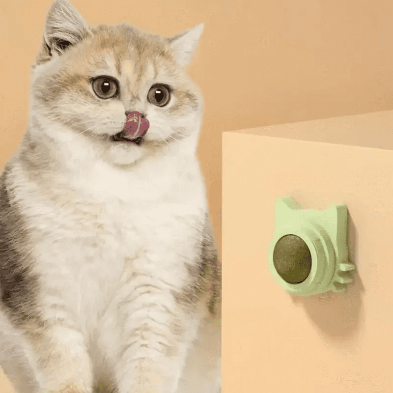 Licky™ : Boule d'herbe à chat murale pour chat