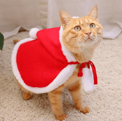 Déguisement pour chat - Cape Père Noël